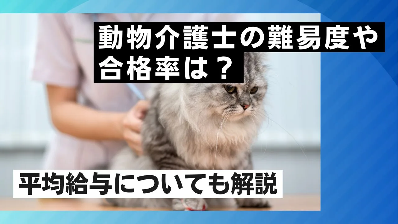 動物介護士の難易度や合格率は？また平均給与についても解説します
