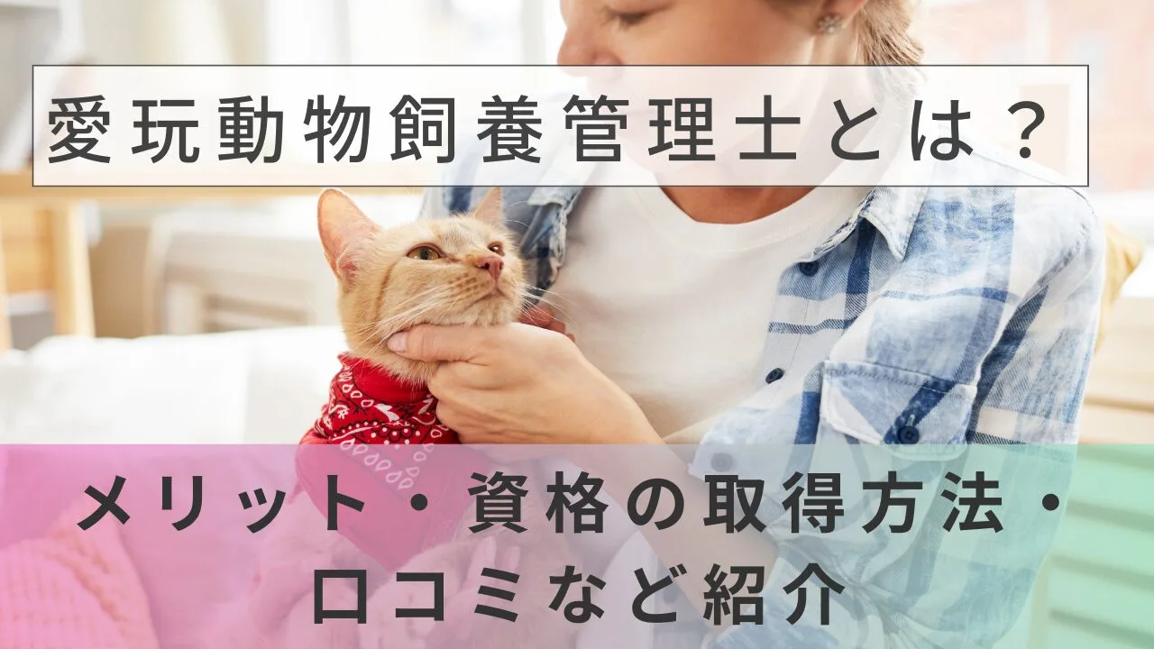 愛玩動物飼養管理士とは？メリット・資格の取得方法・口コミなど紹介