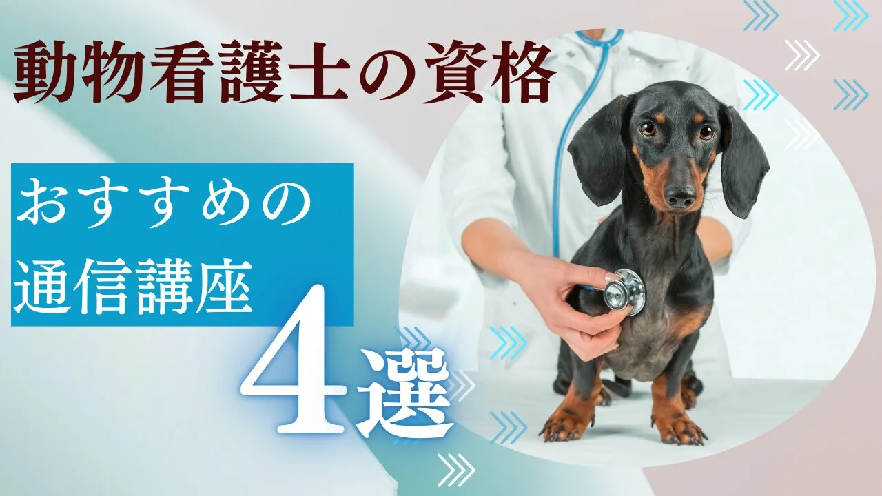 【動物看護士の資格】おすすめの通信講座4選を特徴・費用など比較