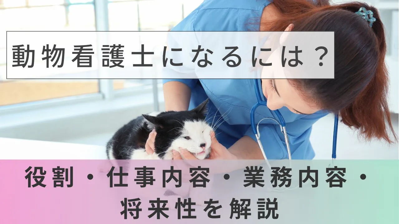 動物看護士になるには？役割・仕事内容・業務内容・将来性を解説