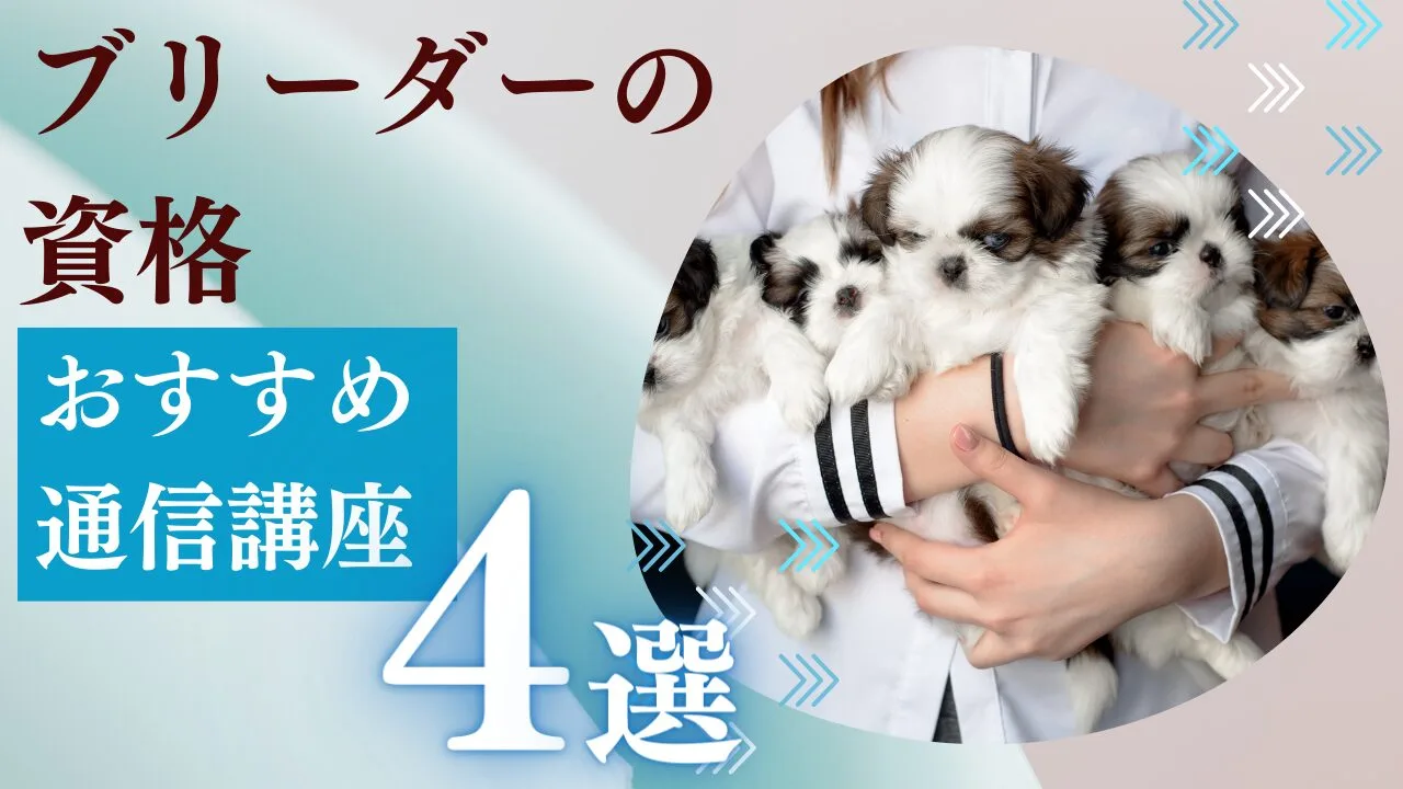 【 ブリーダーの資格】通信講座おすすめ4選｜費用・特徴から徹底比較【2026年最新】
