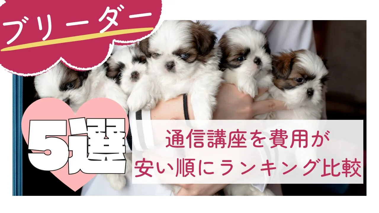 ブリーダーの通信講座5選 | 費用が安い順にランキング比較