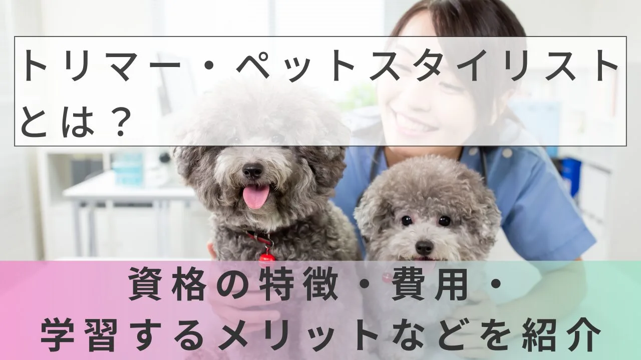 トリマー・ペットスタイリストとは？資格の特徴・費用・学習するメリットなどを紹介