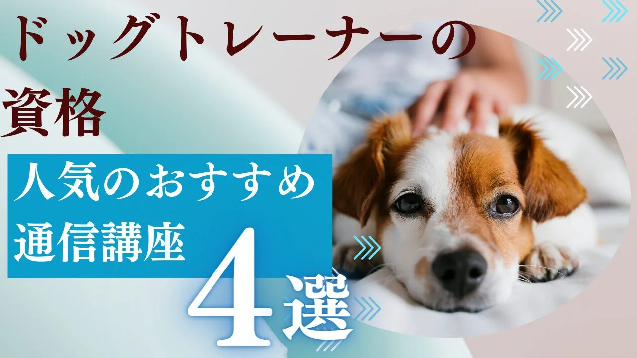 ドッグトレーナー通信講座おすすめ4選【2026年最新比較】料金・資格・サポート