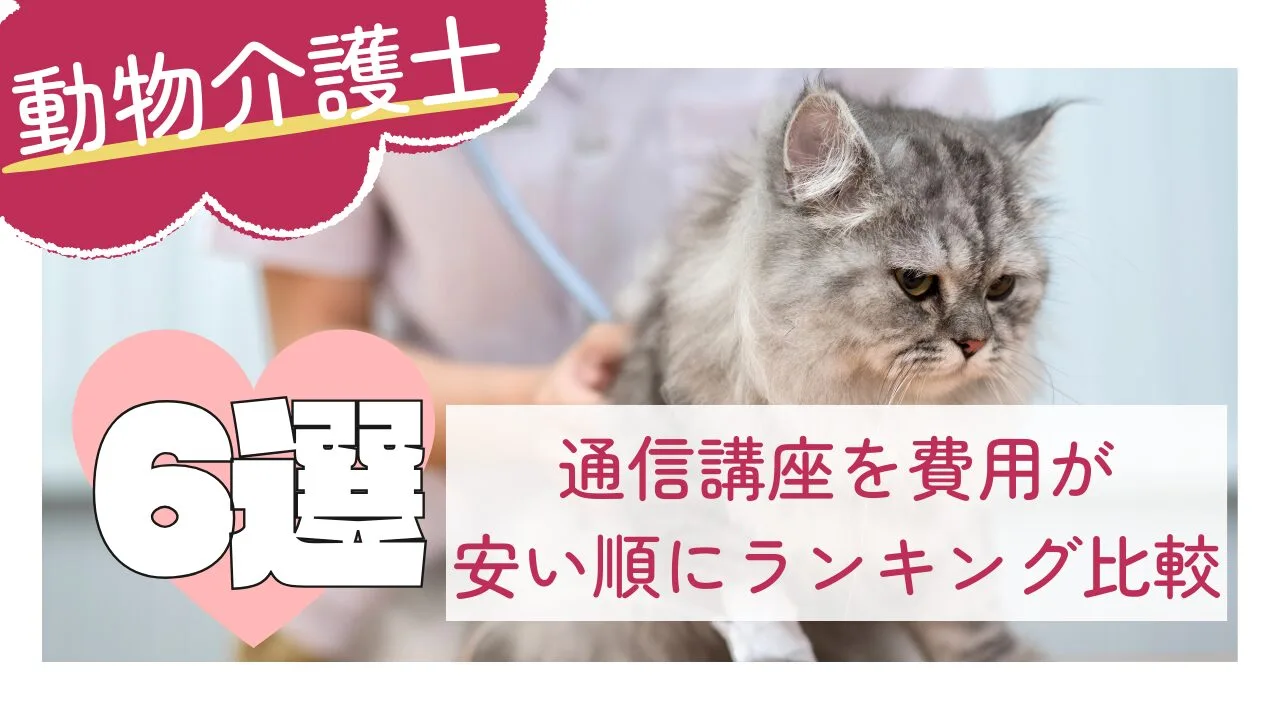 動物介護士の通信講座6選を費用が安い順にランキング比較！口コミ・特徴など徹底解説