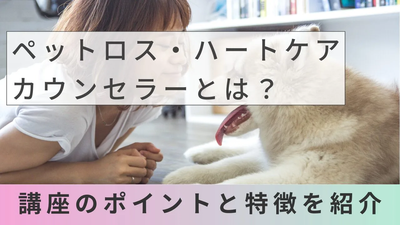 ペットロス・ハートケアカウンセラーとは？講座のポイントと特徴を紹介