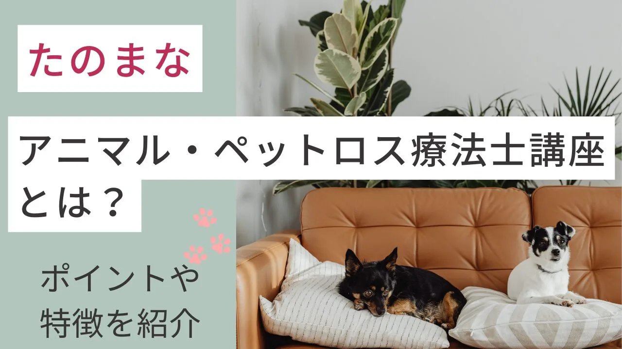 たのまなの『アニマル・ペットロス療法士講座』とは？ポイントや特徴を紹介