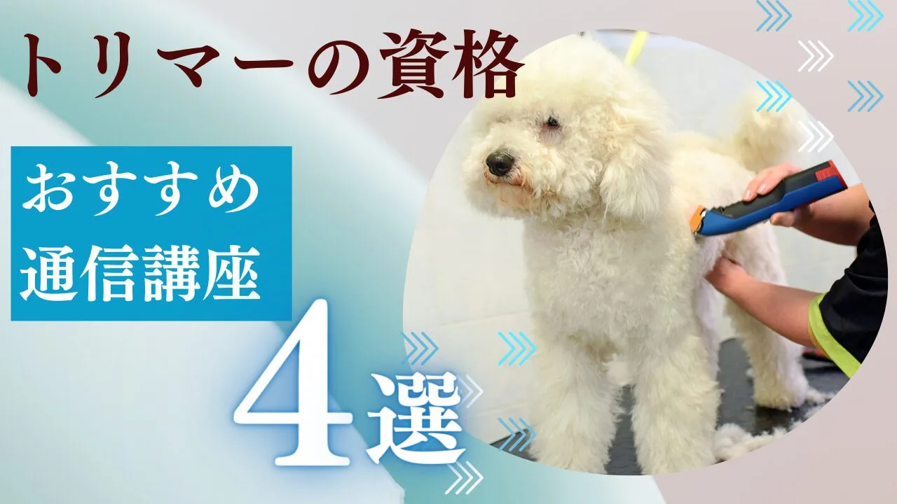 トリマーの通信講座おすすめ4選｜費用・特徴・取得資格を徹底比較【2026年最新】