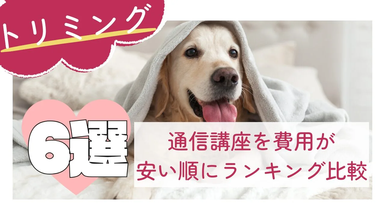 トリミングの通信講座6選！費用が安い順にランキング比較