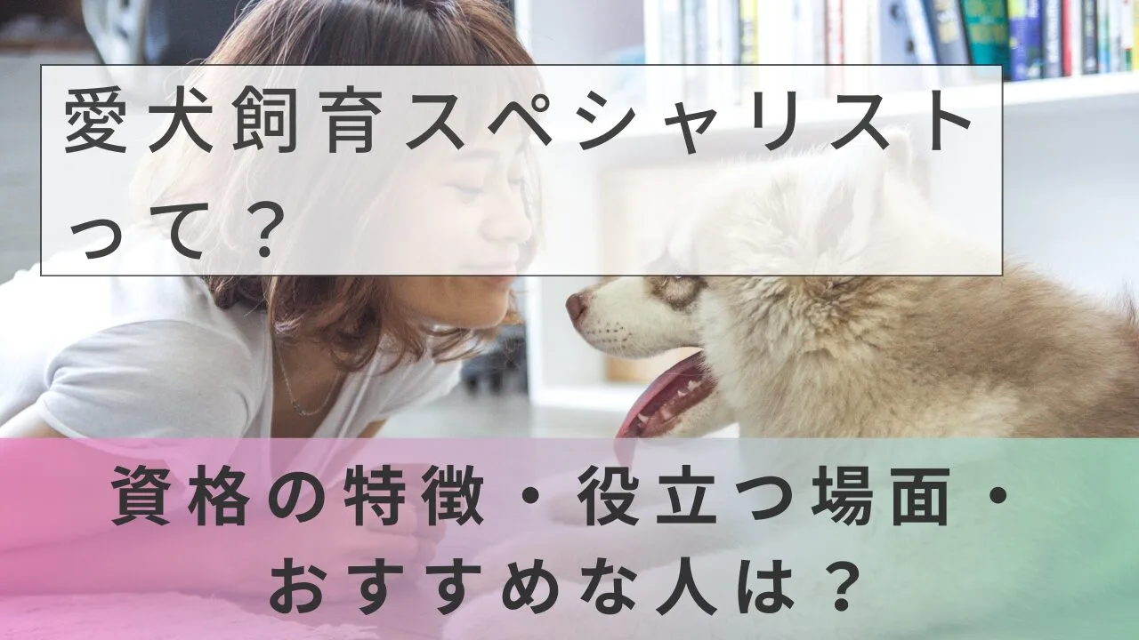 愛犬飼育スペシャリストって？資格の特徴・役立つ場面・おすすめな人は？